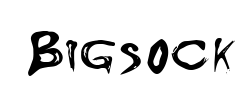 Bigsock - logo